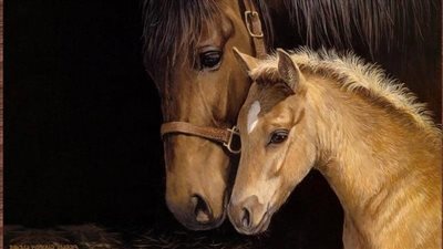 Baby Horse Who Lost Her Mother Gets Introduced To Mare Who Lost Her Baby ‎