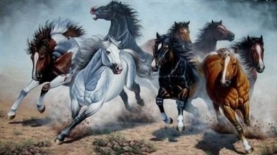 Is my horse too fat? 