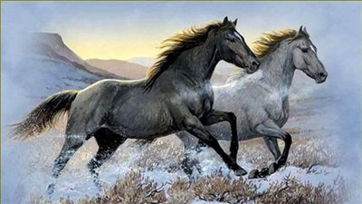 I can only keep one horse, how can I keep him happy?