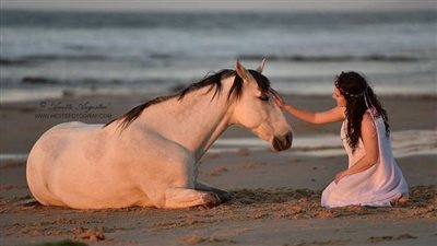 Can Horses get Hayfever?