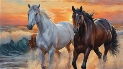 Should a Beginner Rider Buy a Stallion, Gelding, or Mare?