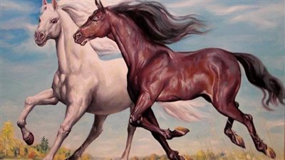 American Quarter Horse: Breed Profile