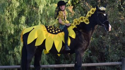 Sunflower Unicorn: A Delightful Equine Cosplay Adventure with Golden Bees   ‎