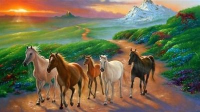 Natural Horse Care the Right Way