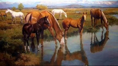 Managing Horses on Small Properties