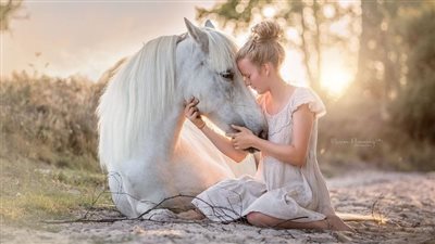 Breed Spotlight: Arabian Horse