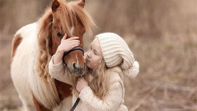 Falling Off a Horse