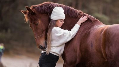 How to Mount and Dismount a Horse