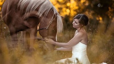 All About Miniature Horses