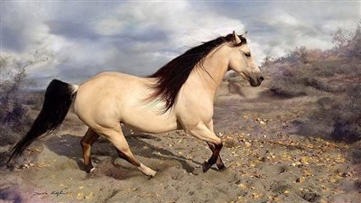 An Often-Missed Factor In Lameness Diagnosis