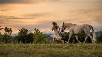 Reasons For Foal Loss Studied