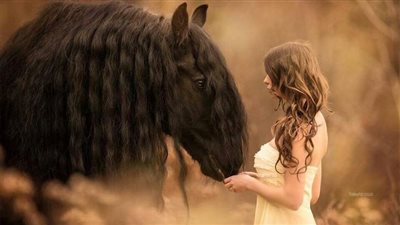 Make Your Horse A Healthy Mash
