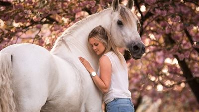 Taking the scratch out of Sweet Itch