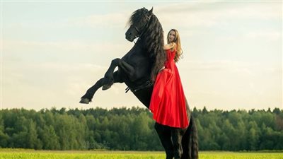 Three things you didn't know about the history of the horse saddle