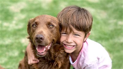 How to Train Your Dog to Handle a Toddler