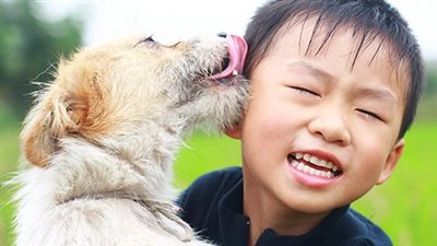 How to Solve Your Dog's Fear of Children