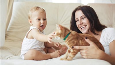 INTRODUCING A CAT TO A BABY