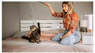 How Much Exercise Do Cats Need?