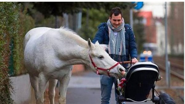 موقع أيام نيوز