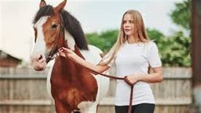 Andalusian Horse Breed Profile