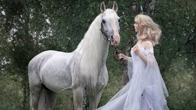 Are long term painkillers safe for my horse?