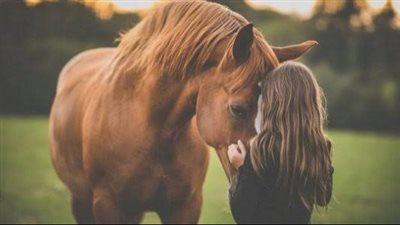 Caring for older horses in the winter