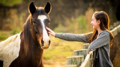 Do horses really need electrolytes?