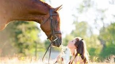 Why is my horse shaking his head?