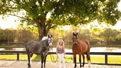 Are we over rugging our horses and ponies?