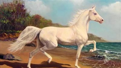 How to Waterproof Horse Blankets