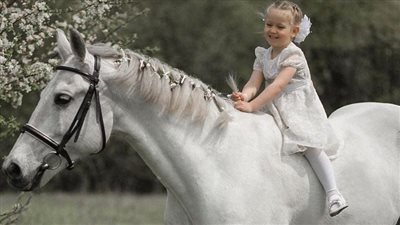 Blood Transfusions for Horses