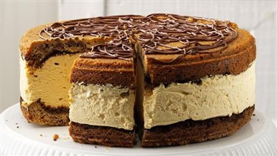 Giant Peanut Butter Ice Cream Sandwich