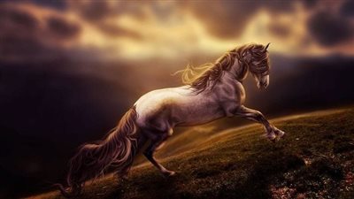 How to Stop Wood Chewing in Horses