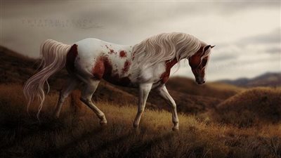 How to Stop Your Horse From Biting