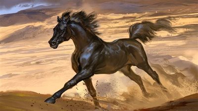 Learn About Horse Cribbers