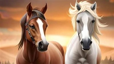Should a Beginner Rider Buy a Stallion, Gelding or Mare?