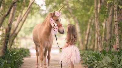 Medical Grade Honey Can Reduce Equine Surgical Site Infections
