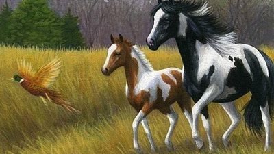A Closer Look at Equine Joint Inflammation