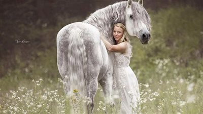 How to Build Supportive Cultures in Our Horse Barns