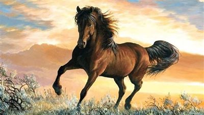 Working Your Horse Property Plan