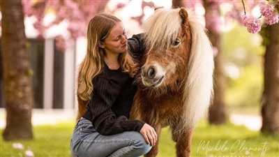 The Young Horse