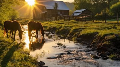 High Performance Values for Equestrians