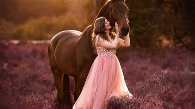 Iron in the Equine Diet