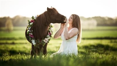 It’s Just a Horse