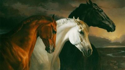 Leg Injuries in Horses