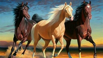 Equine Protozoal Myeloencephalitis (EPM) in Horses