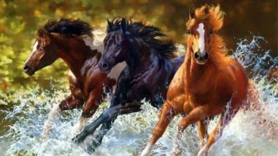 How to Remove Burrs From Horses