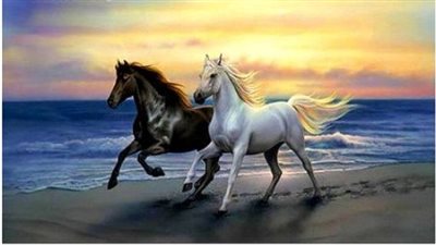 Riding Horses With a Bitless Bridle