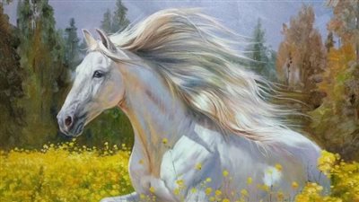 15 Fascinating Facts About Horses