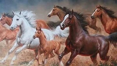 Trees in Horse Pastures